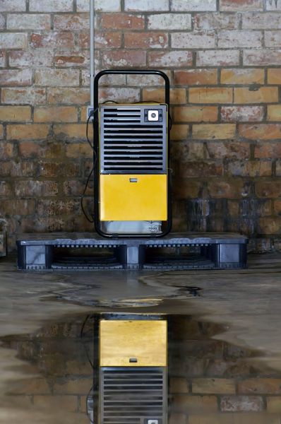 Basement Dehumidifier Service in Acworth